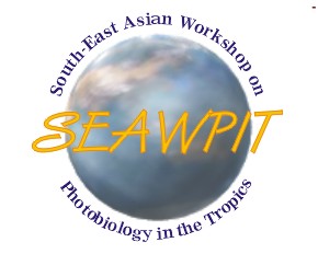 SEAWPIT logo